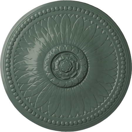 Ekena Millwork Bailey Ceiling Medallion (Fits Canopies up to 4"), Hand-Painted Cloud Burst, 18 1/8"OD x 3/4"P CM19BICBF